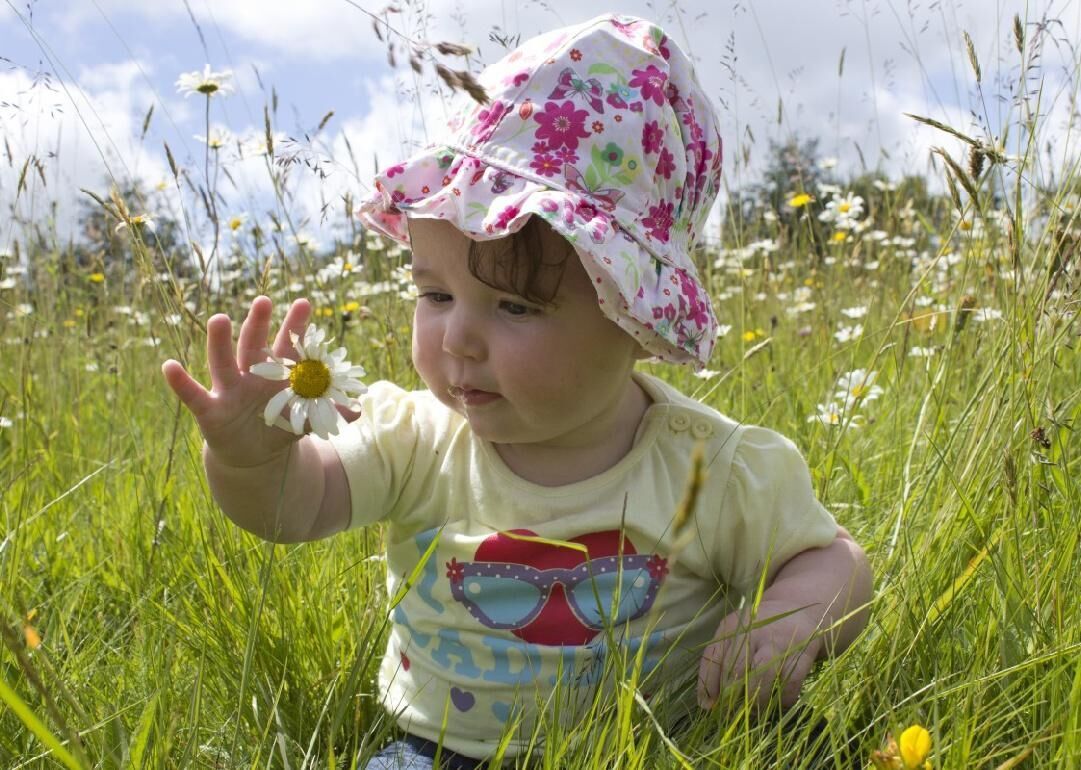 #33. Claire (for girls)